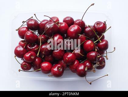 Rosso ciliegia nome scientifico Prunum vegetariano frutta alimentare Foto Stock