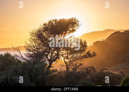 Tarifa, Spagna -- tramonto a Playa de los Lances lungo lo stretto di Gibilterra Foto Stock