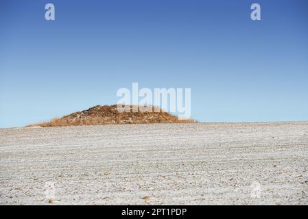 Desolazione secca. Un tumulo erboso nel mezzo di un paesaggio asciutto Foto Stock