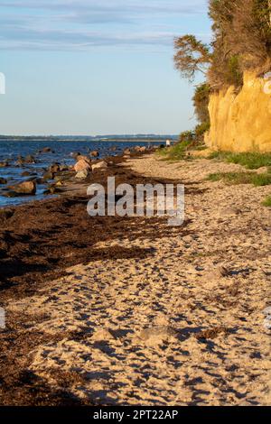 Ripida costa al cespuglio nero con mare e cielo blu, sull'isola di Poel sul Mar Baltico, Germania Foto Stock