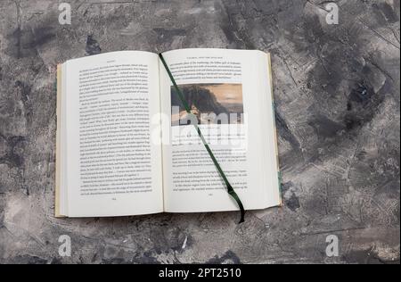 2017 biografia di polymath Edward Lear vittoriano forse più noto per la sua poesia assurda Foto Stock