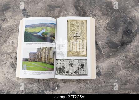 La conquista vichinga dell'Inghilterra nel 1016 una campagna più brutale della conquista normanna 50 anni dopo. WB Bartlett's 'King Cnut' è stato pubblicato nel 2016 Foto Stock