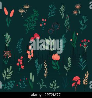 Set di rami di scarabei, erbe, fiori, piante Illustrazione Vettoriale