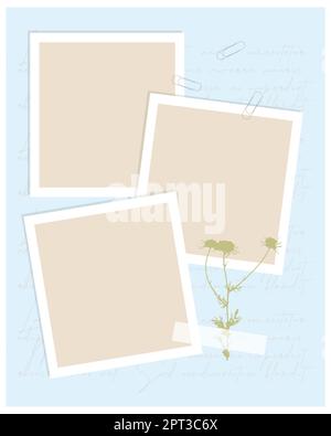 Modello di collage vintage per album fotografici, promemoria, social media, note, elenco attività. Scrapbooking herbarium chamomile. Illustrazione Vettoriale