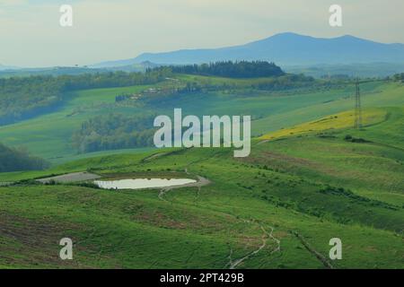 Un piccolo stagno di acqua piovana (comunemente chiamato fontoni, letteralmente "grandi sorgenti") nelle verdi valli toscane. La zona delle Crete Senesi di ​​the. Foto Stock