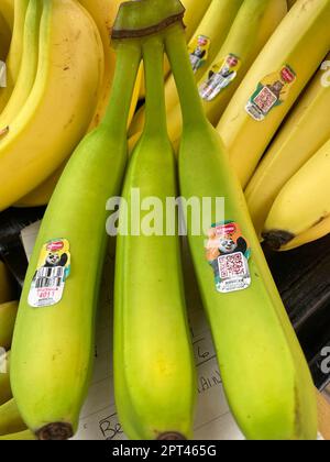 Frutta fresca nella navata dei prodotti del negozio di alimentari D'Agostino a New York City, 2023, USA Foto Stock