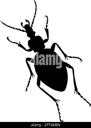 Beetle Silhouette Illustrazione Vettoriale