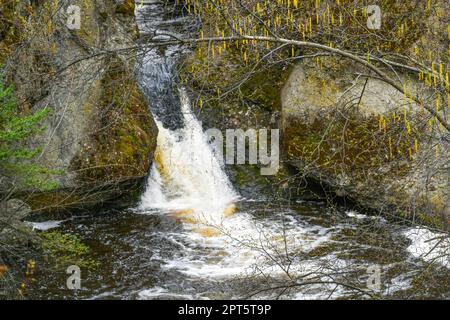 Ravine, ruscello, Glen Canyon Regional Park, West Kelowna, British Columbia, Canada Foto Stock