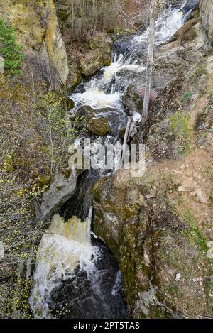 Ravine, ruscello, Glen Canyon Regional Park, West Kelowna, British Columbia, Canada Foto Stock