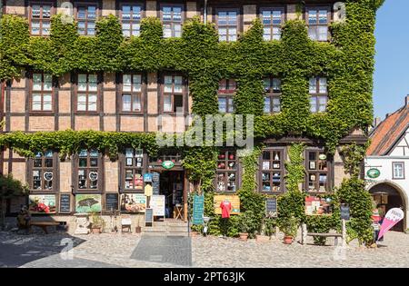 Casa a graticcio su più piani, facciata ricoperta di edera, Città Vecchia, Quedlinburg, Sassonia-Anhalt, Germania Foto Stock