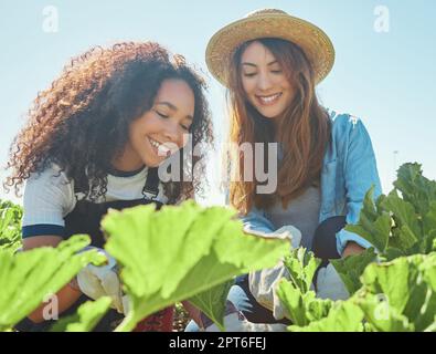 Incoraggiando i loro raccolti per crescere. due coltivatori femminili che controllano i loro raccolti Foto Stock