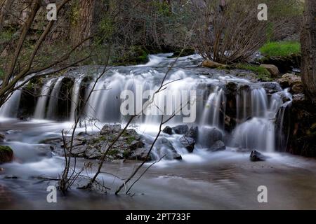 Cascata sul fiume di montagna in esposizione lunga. Vegetazione autunnale, Foto Stock