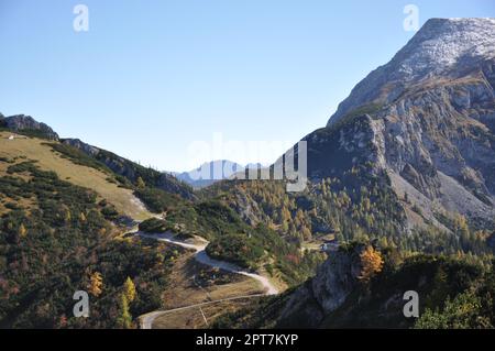 Piccolo pascolo montano nelle montagne intorno a Berchtesgaden, vicino al monte Jenner, Baviera Foto Stock