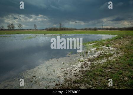 Acqua piovana sul prato e cielo nuvoloso, giorno di primavera Foto Stock