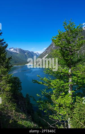 Lago del Predil, Raibler See, Tarvisio, Tarvis, Alpi Giulie, Italia Foto Stock