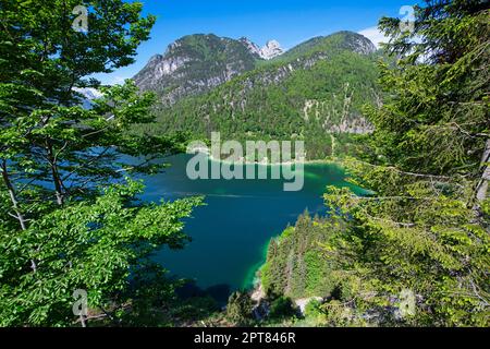 Lago del Predil, Raibler See, Tarvisio, Tarvis, Alpi Giulie, Italia Foto Stock