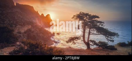 Mare al tramonto. Un albero incredibile, una montagna, un cielo saturo luminoso, il sole con i raggi che tramontano dietro la montagna. Natura sfondo Foto Stock