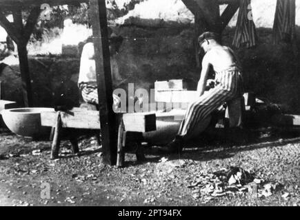 Prigionieri del lavoro forzato che tagliano pietre nella cava di Wiener Graben nel campo di concentramento di Mauthausen. Foto Stock