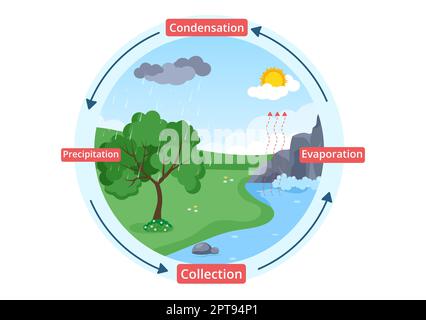 Ciclo dell'acqua di evaporazione, condensazione, precipitazione alla raccolta in ambiente naturale terrestre su Cartoon piano modello disegnato a mano Illustrazione Foto Stock