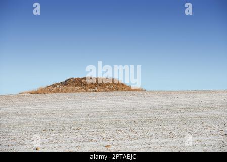 Desolazione secca. Un tumulo erboso nel mezzo di un paesaggio asciutto Foto Stock