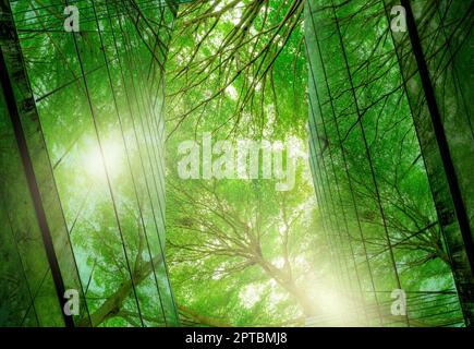 Edificio verde e di sostenibilità. Edificio ecologico. Edificio sostenibile in vetro per uffici con albero per ridurre il biossido di carbonio. Ufficio con ambiente verde Foto Stock