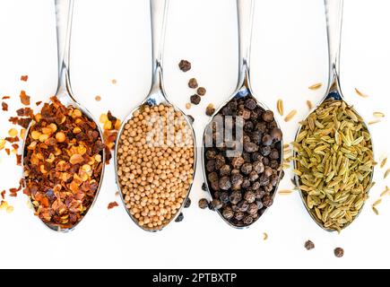 Quattro cucchiai di pepe rosso, semi di senape, pepe nero e semi di finocchio su fondo bianco Foto Stock