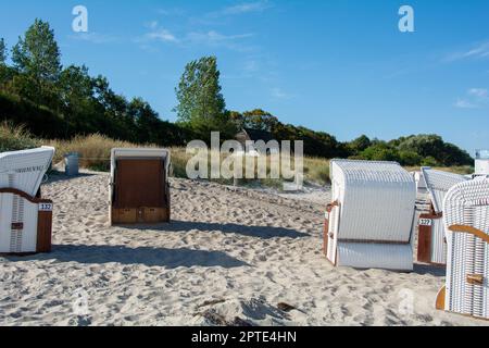 Sedie a cestini bianche in vimini sulla spiaggia sabbiosa con alberi sullo sfondo, nel Mar Baltico, a Poel, in Germania Foto Stock