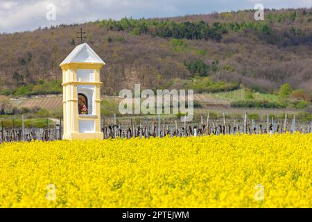 Gli dèi la tortura nei pressi di Retz, Austria Foto Stock