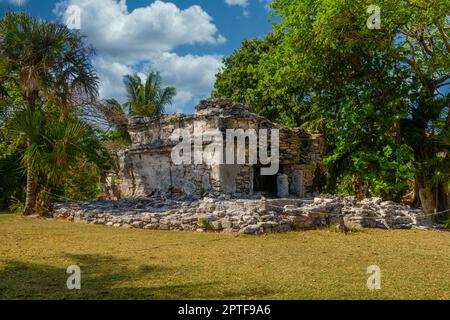 Rovine Maya di Playacar nel parco forestale di Playa del Carmen, Yucatan, Messico. Foto Stock