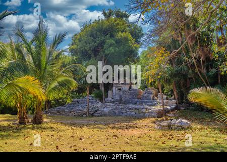 Rovine Maya di Playacar nel parco forestale di Playa del Carmen, Yucatan, Messico. Foto Stock