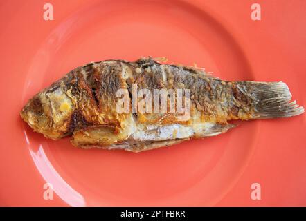 Una carpa fritta intera con una crosta fritta, servita su un piatto rosso brillante. Vista dall'alto Foto Stock