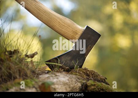 Chopper o ascia in piedi in verticale in un vecchio ceppo di albero all'aperto contro uno sfondo di bosco sfocato Foto Stock