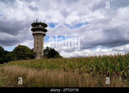 Il Longinusturm è una torre di osservazione alta 32 metri sulla cima del Westerberg vicino a Nottuln in Germania Foto Stock