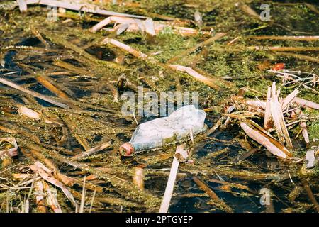 Vecchia bottiglia di plastica galleggia in acqua di palude o torbiera. Usate la bottiglia vuota a sinistra in acqua. Concetto di Eco Garbage Disaster dall'inquinamento ecologico di environ Foto Stock