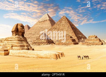 La Grande Sfinge accanto alle Piramidi d'Egitto nel deserto di Giza. Foto Stock