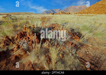 Paesaggio panoramico del monte Brandberg con pianure erbose e rocce, Namibia Foto Stock