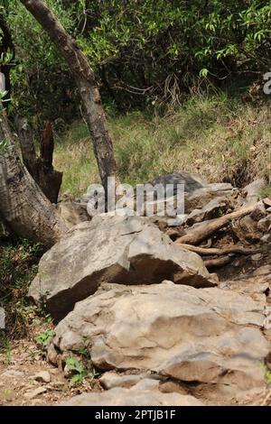 montagna difficile sentiero escursionistico Foto Stock