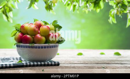 Una ciotola di prugne fresche sul tavolo da giardino. Frutta estiva. Prugne verdi mature. Concetto di frutta biologica. Foto Stock