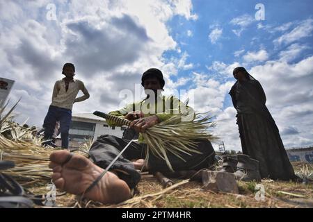 Srinagar, India, 27/04/2023, la capitale estiva del Kashmir amministrato dall'India, un immigrato indiano dal Rajasthan gira la gomma intorno alle maniglie della scopa sul lato della strada il 27 aprile 2023. Negli ultimi tre decenni, il Kashmir ha sperimentato un afflusso senza precedenti di migranti a basso reddito da varie regioni dell'India. Molti di loro portano ancora lo stigma dell'intoccabilità e del basso degrado delle caste e vivono in povertà con accesso limitato all'istruzione e alle condizioni di vita sanitarie. Famiglie come un insieme, spesso dallo stato indiano di Rajasthan, lavoro a mano-mestiere scope da bambù e data p Foto Stock