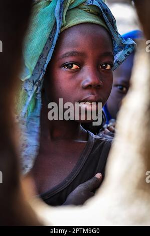 Nicolas Remene / le Pictorium - Ende Bandiagara region Dogon Country - 28/11/2009 - Mali / Bandiagara / Ouroli Tenne - Una ragazza giovane si presenta palpita Foto Stock