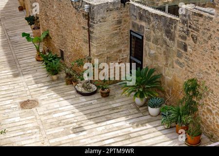 Alcudia, Mallorca, Spagna - 31,Marzo,2023, strada nella città medievale di Alcudia, Maiorca, Spagna Foto Stock