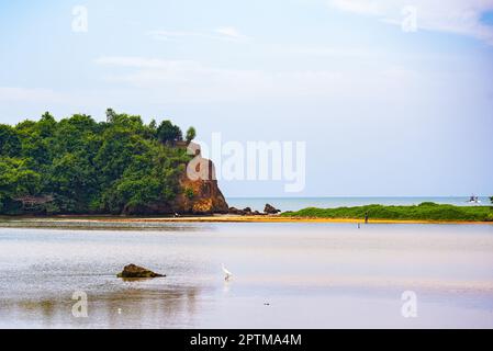 Belle coste dello Sri Lanka Foto Stock