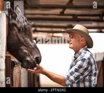 È il momento di fare un giro. Una mano di ranch premuroso che assiste ad un cavallo nella stalla Foto Stock