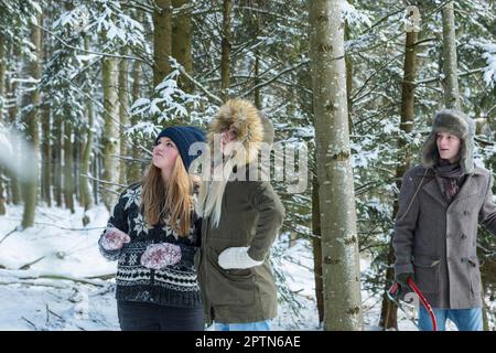 Amici in foresta innevata con una sega alla ricerca di un albero di natale, Baviera, Germania Foto Stock
