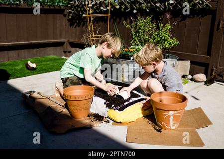 Fratelli che piantano per la primavera a San Diego Foto Stock