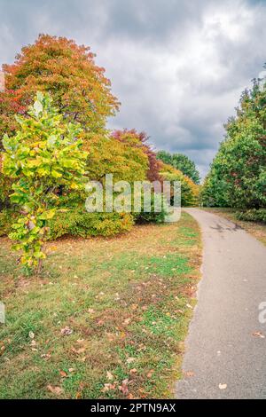 Sentiero escursionistico a Arboretum a Lexington, Kentucky, in autunno Foto Stock