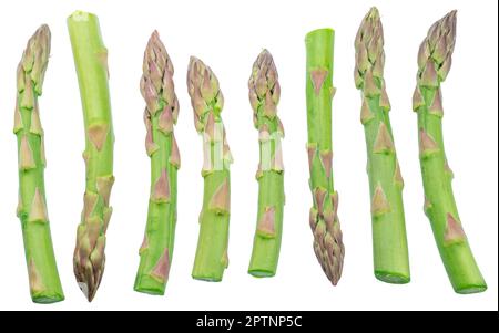 Fila di lance verdi di asparagi su fondo bianco. Tracciato di ritaglio. Foto Stock