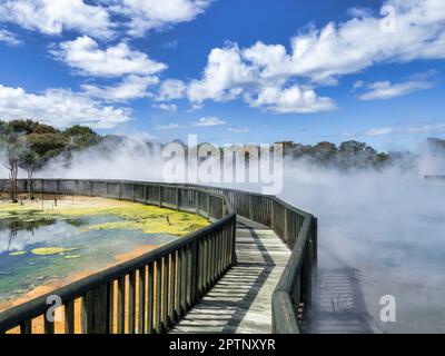 Passerella nel Parco Kuirau, un parco pubblico e area termale a Rotorua, Baia di Plenty, Nuova Zelanda. Foto Stock