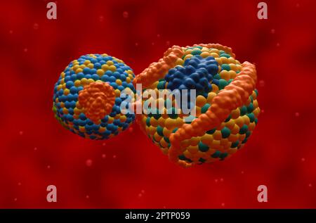 HDL (buona, anteriore) e LDL (cattiva, posteriore) lipoproteina (colesterolo) - Vista closeup 3D illustrazione Foto Stock