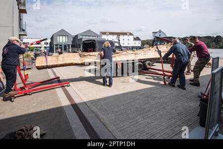 Scaricare i tronchi utilizzando 2000k gru idraulica da officina sollevamento cavalletti presso il Longshed in Woodbridge Suffolk, dove è in costruzione una barca replica. Foto Stock